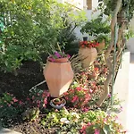 Villa Rosa